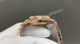 20260505 01 (2)_th.jpg